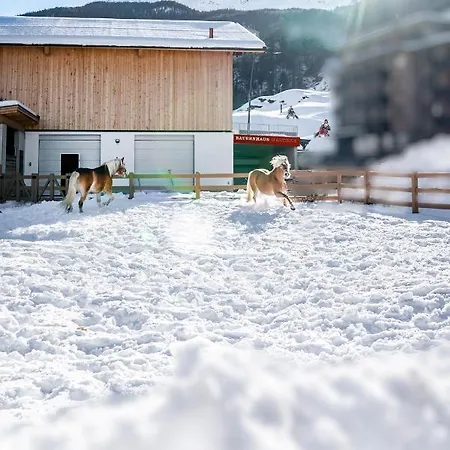 Martinus Appartement